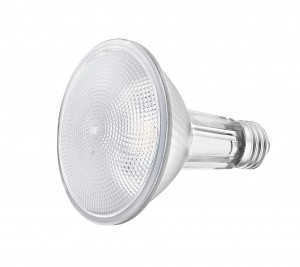 LED PAR30 Long Neck