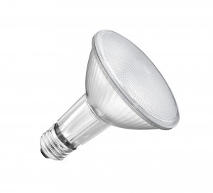 LED PAR30 Long Neck