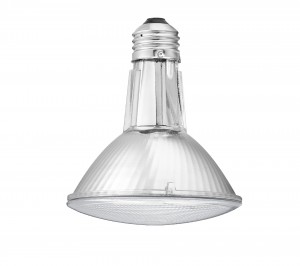 LED PAR30 Long Neck