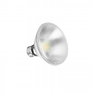 LED PAR30S