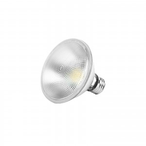 LED PAR30S