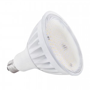 High-Power LED PAR38
