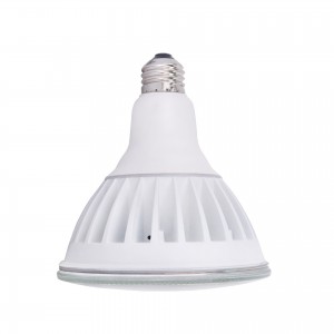 High-Power LED PAR38