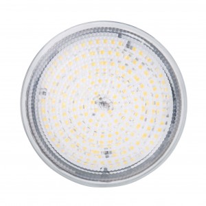 High-Power LED PAR38