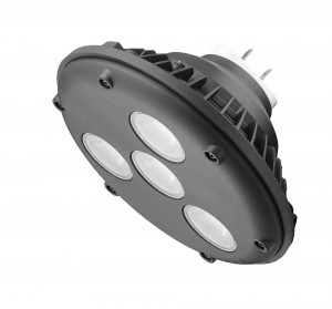 LED PAR56 Green