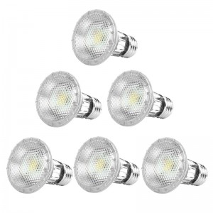 Classic Full Glass Dimmable PAR20 LED Flood Light Bulbs