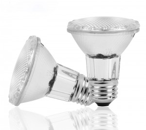 Classic Full Glass Dimmable PAR20 LED Flood Light Bulbs