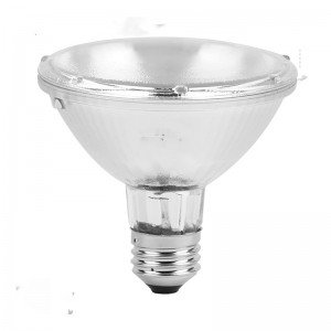 Halogen Dimmable PAR30 Spot Light Bulb