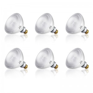 Halogen Dimmable PAR38 Flood Light Bulb
