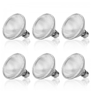 Halogen Dimmable PAR30 Flood Light Bulb